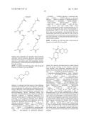 ANTIBODIES COMPRISING MULTIPLE SITE-SPECIFIC NON-NATURAL AMINO ACID     RESIDUES, METHODS OF THEIR PREPARATION AND METHODS OF THEIR USE diagram and image