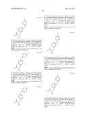 ANTIBODIES COMPRISING MULTIPLE SITE-SPECIFIC NON-NATURAL AMINO ACID     RESIDUES, METHODS OF THEIR PREPARATION AND METHODS OF THEIR USE diagram and image