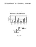 CYSTEINE ENGINEERED ANTIBODIES AND CONJUGATES diagram and image