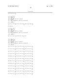 CYSTEINE ENGINEERED ANTIBODIES AND CONJUGATES diagram and image