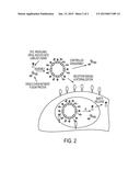 METHODS OF MAKING AND USING NANOSTRUCTURES diagram and image