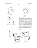 METHODS OF MAKING AND USING NANOSTRUCTURES diagram and image