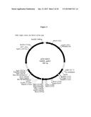 DELIVERY AND FORMULATION OF ENGINEERED NUCLEIC ACIDS diagram and image