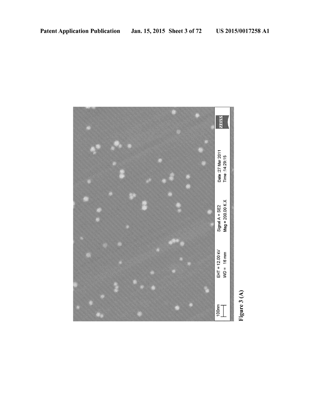 DIRECT DETECTION OF DISEASE BIOMARKERS IN CLINICAL SPECIMENS USING     CATIONIC NANOPARTICLE-BASED ASSAYS & VERSATILE AND GREEN METHODS FOR     SYNTHESIS OF ANISOTROPIC SILVER NANOSTRUCTURES - diagram, schematic, and image 04