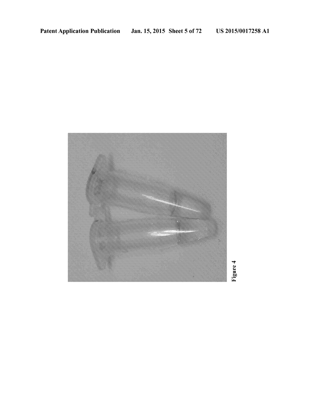 DIRECT DETECTION OF DISEASE BIOMARKERS IN CLINICAL SPECIMENS USING     CATIONIC NANOPARTICLE-BASED ASSAYS & VERSATILE AND GREEN METHODS FOR     SYNTHESIS OF ANISOTROPIC SILVER NANOSTRUCTURES - diagram, schematic, and image 06