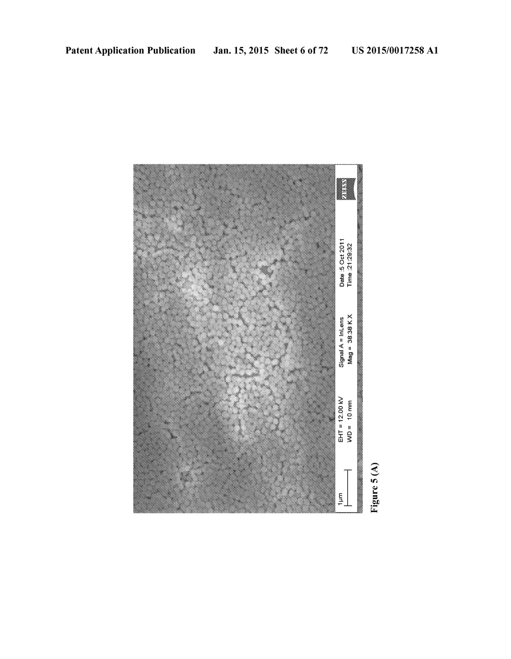 DIRECT DETECTION OF DISEASE BIOMARKERS IN CLINICAL SPECIMENS USING     CATIONIC NANOPARTICLE-BASED ASSAYS & VERSATILE AND GREEN METHODS FOR     SYNTHESIS OF ANISOTROPIC SILVER NANOSTRUCTURES - diagram, schematic, and image 07