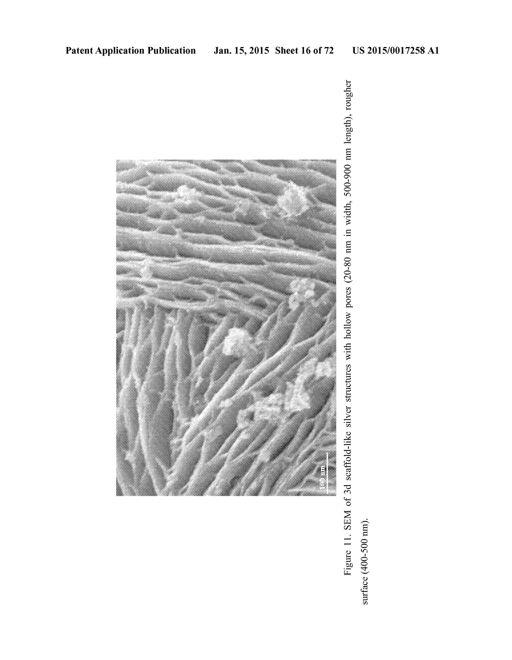 DIRECT DETECTION OF DISEASE BIOMARKERS IN CLINICAL SPECIMENS USING     CATIONIC NANOPARTICLE-BASED ASSAYS & VERSATILE AND GREEN METHODS FOR     SYNTHESIS OF ANISOTROPIC SILVER NANOSTRUCTURES - diagram, schematic, and image 17