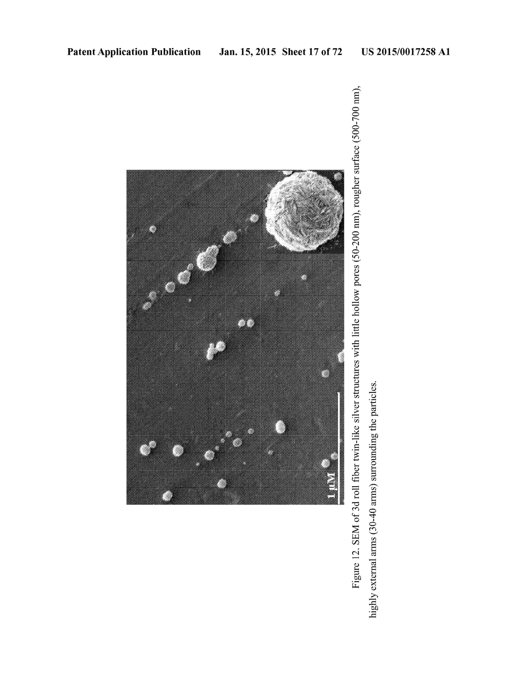 DIRECT DETECTION OF DISEASE BIOMARKERS IN CLINICAL SPECIMENS USING     CATIONIC NANOPARTICLE-BASED ASSAYS & VERSATILE AND GREEN METHODS FOR     SYNTHESIS OF ANISOTROPIC SILVER NANOSTRUCTURES - diagram, schematic, and image 18