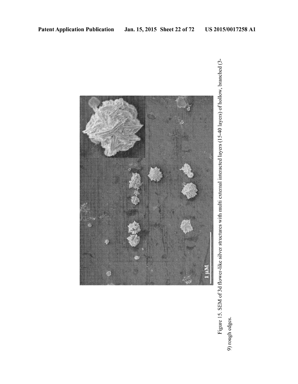 DIRECT DETECTION OF DISEASE BIOMARKERS IN CLINICAL SPECIMENS USING     CATIONIC NANOPARTICLE-BASED ASSAYS & VERSATILE AND GREEN METHODS FOR     SYNTHESIS OF ANISOTROPIC SILVER NANOSTRUCTURES - diagram, schematic, and image 23