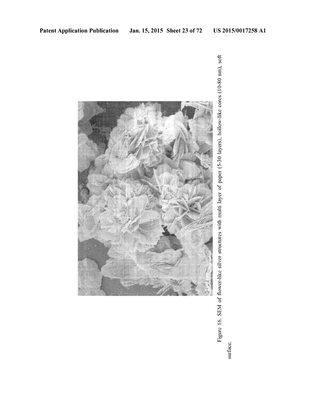 DIRECT DETECTION OF DISEASE BIOMARKERS IN CLINICAL SPECIMENS USING     CATIONIC NANOPARTICLE-BASED ASSAYS & VERSATILE AND GREEN METHODS FOR     SYNTHESIS OF ANISOTROPIC SILVER NANOSTRUCTURES - diagram, schematic, and image 24