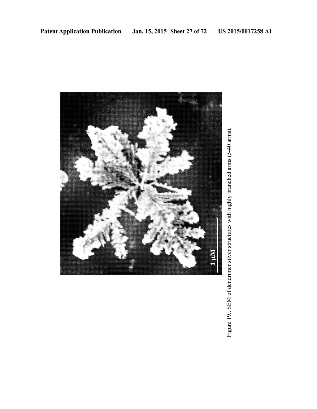 DIRECT DETECTION OF DISEASE BIOMARKERS IN CLINICAL SPECIMENS USING     CATIONIC NANOPARTICLE-BASED ASSAYS & VERSATILE AND GREEN METHODS FOR     SYNTHESIS OF ANISOTROPIC SILVER NANOSTRUCTURES - diagram, schematic, and image 28