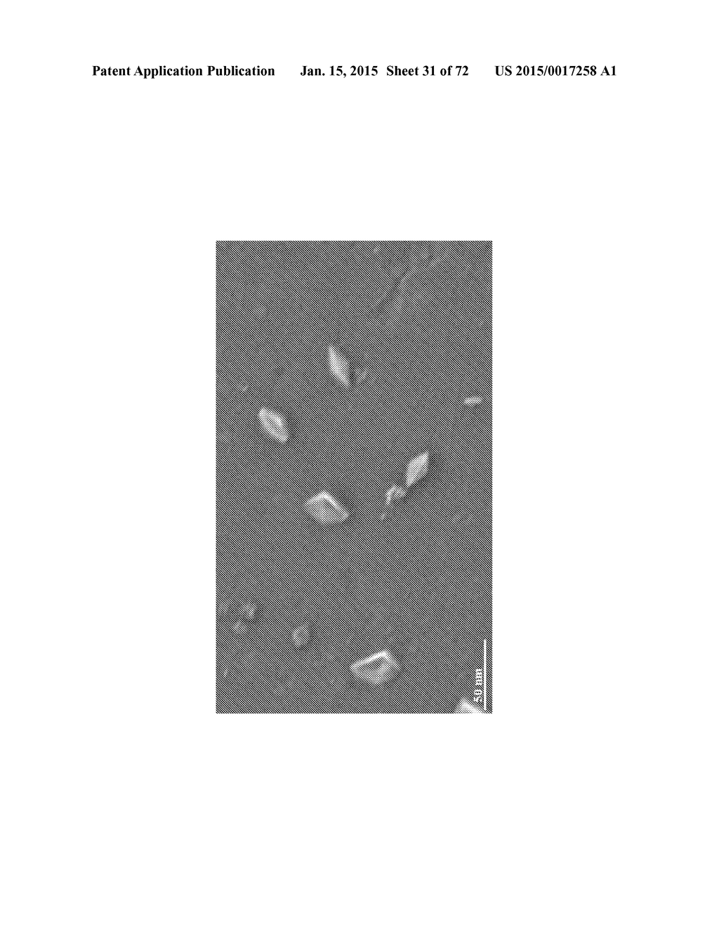 DIRECT DETECTION OF DISEASE BIOMARKERS IN CLINICAL SPECIMENS USING     CATIONIC NANOPARTICLE-BASED ASSAYS & VERSATILE AND GREEN METHODS FOR     SYNTHESIS OF ANISOTROPIC SILVER NANOSTRUCTURES - diagram, schematic, and image 32