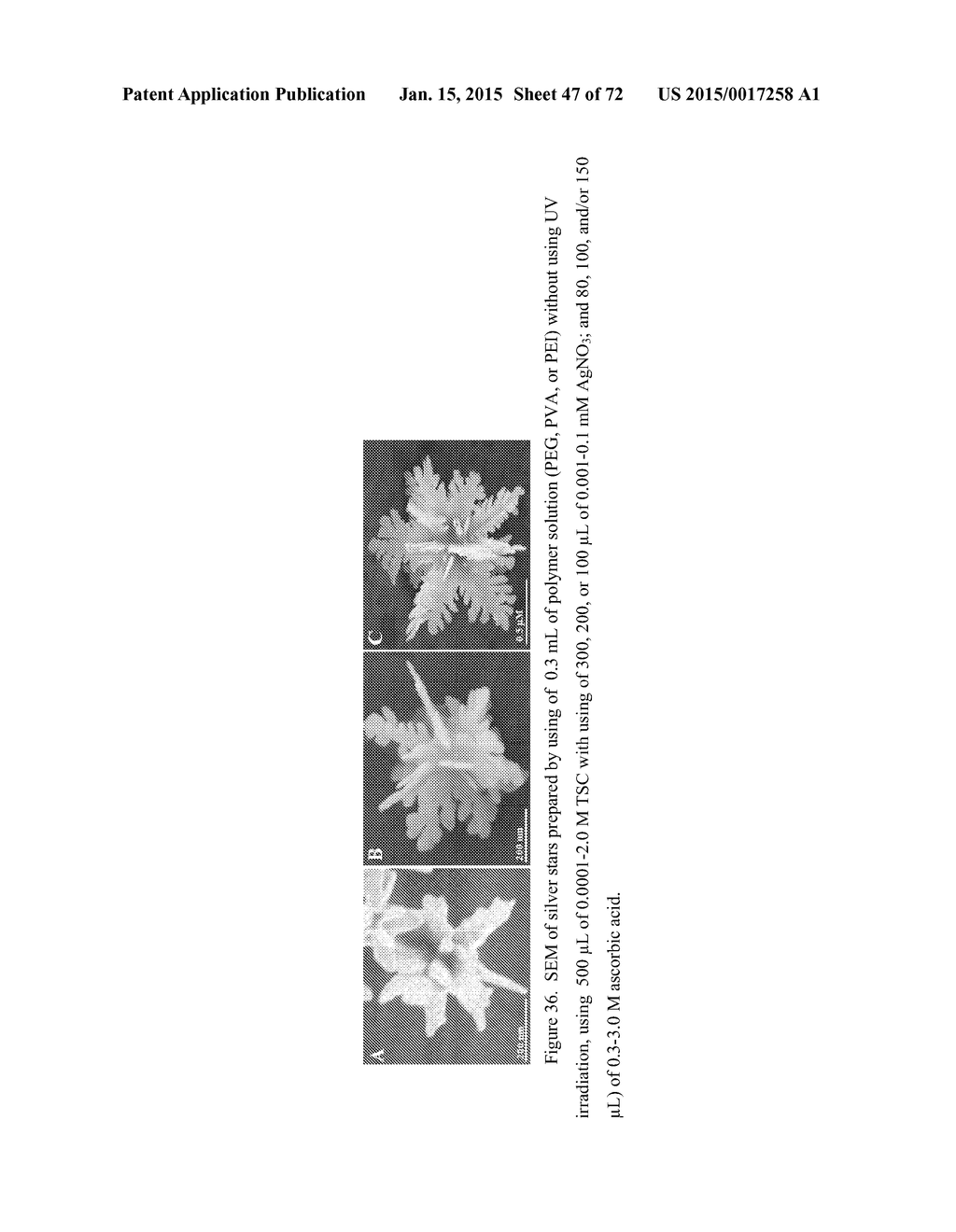 DIRECT DETECTION OF DISEASE BIOMARKERS IN CLINICAL SPECIMENS USING     CATIONIC NANOPARTICLE-BASED ASSAYS & VERSATILE AND GREEN METHODS FOR     SYNTHESIS OF ANISOTROPIC SILVER NANOSTRUCTURES - diagram, schematic, and image 48