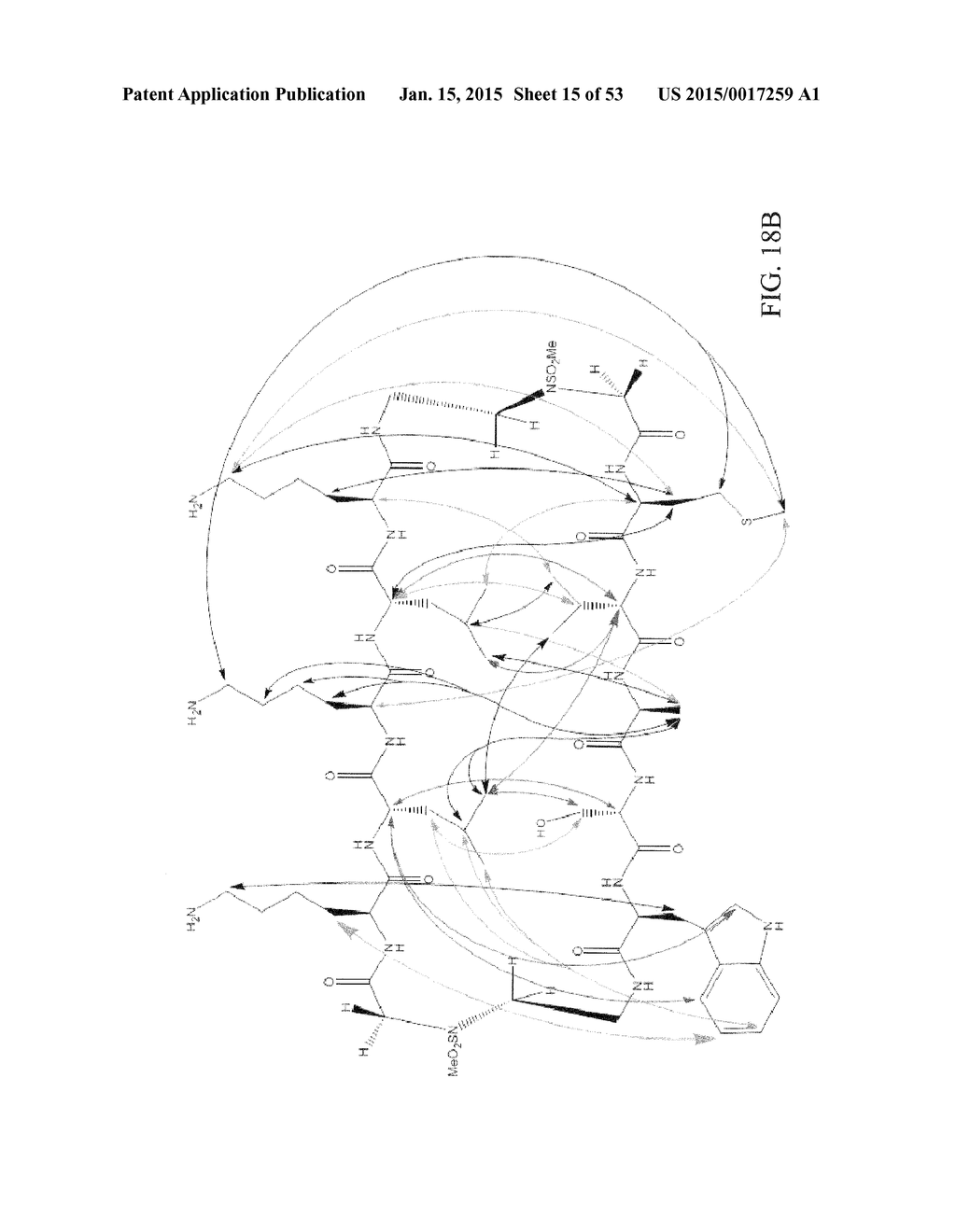 INTEGRIN INTERACTION INHIBITORS FOR THE TREATMENT OF CANCER - diagram, schematic, and image 16