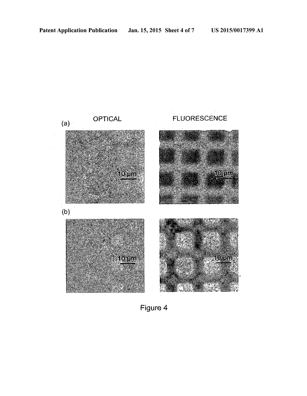 METHOD OF PRODUCING A FUNCTIONALIZED SURFACE AND SURFACES MADE THEREBY - diagram, schematic, and image 05