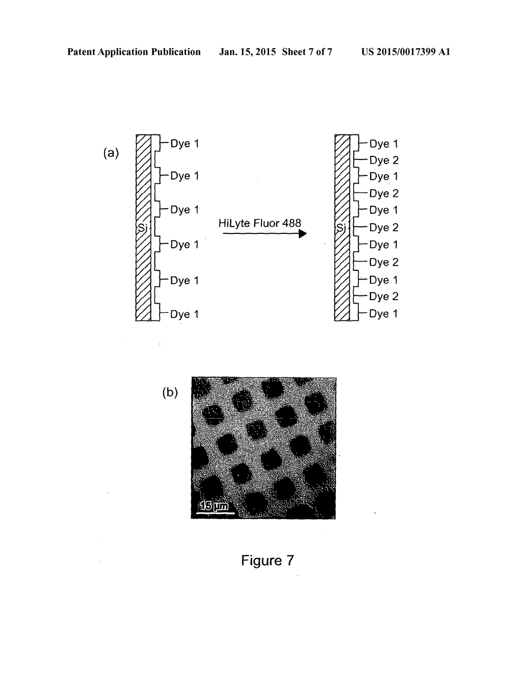 METHOD OF PRODUCING A FUNCTIONALIZED SURFACE AND SURFACES MADE THEREBY - diagram, schematic, and image 08