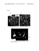 METHOD FOR FORMING FLUORIDE SPRAY COATING AND FLUORIDE SPRAY COATING     COVERED MEMBER diagram and image