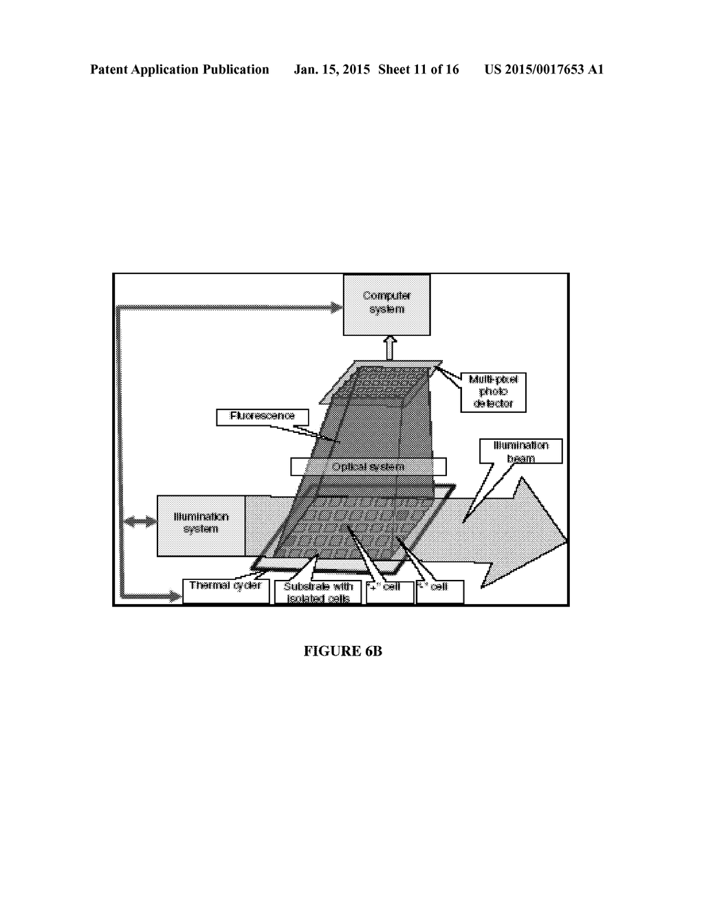 Absolute PCR Quantification - diagram, schematic, and image 12