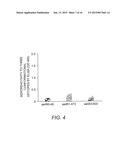 Peptides and Methods for Detecting MPO-ANCA diagram and image