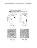 Peptides and Methods for Detecting MPO-ANCA diagram and image