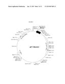 EFFICIENT PRODUCTION OF PEPTIDES diagram and image