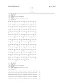 KETOREDUCTASE POLYPEPTIDES FOR THE REDUCTION OF ACETOPHENONES diagram and image