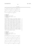 KETOREDUCTASE POLYPEPTIDES FOR THE REDUCTION OF ACETOPHENONES diagram and image