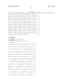 KETOREDUCTASE POLYPEPTIDES FOR THE REDUCTION OF ACETOPHENONES diagram and image