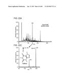 MASS SPECTROMETRY ANALYSIS OF MICROORGANISMS IN SAMPLES diagram and image