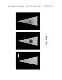 MASS SPECTROMETRY ANALYSIS OF MICROORGANISMS IN SAMPLES diagram and image