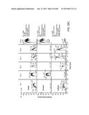 MASS SPECTROMETRY ANALYSIS OF MICROORGANISMS IN SAMPLES diagram and image