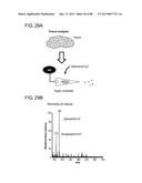 MASS SPECTROMETRY ANALYSIS OF MICROORGANISMS IN SAMPLES diagram and image