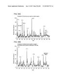 MASS SPECTROMETRY ANALYSIS OF MICROORGANISMS IN SAMPLES diagram and image