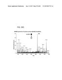 MASS SPECTROMETRY ANALYSIS OF MICROORGANISMS IN SAMPLES diagram and image