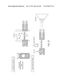 MASS SPECTROMETRY ANALYSIS OF MICROORGANISMS IN SAMPLES diagram and image