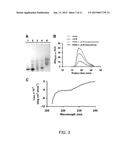 CONFORMATIONAL-SWITCHING FLUORESCENT PROTEIN PROBE FOR DETECTION OF ALPHA     SYNUCLEIN OLIGOMERS diagram and image