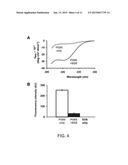 CONFORMATIONAL-SWITCHING FLUORESCENT PROTEIN PROBE FOR DETECTION OF ALPHA     SYNUCLEIN OLIGOMERS diagram and image