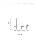 CONFORMATIONAL-SWITCHING FLUORESCENT PROTEIN PROBE FOR DETECTION OF ALPHA     SYNUCLEIN OLIGOMERS diagram and image