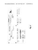 METHODS OF DIAGNOSING TAU-ASSOCIATED NEURODEGENERATIVE DISEASES diagram and image