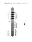 METHODS OF DIAGNOSING TAU-ASSOCIATED NEURODEGENERATIVE DISEASES diagram and image