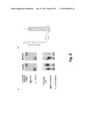 METHODS OF DIAGNOSING TAU-ASSOCIATED NEURODEGENERATIVE DISEASES diagram and image