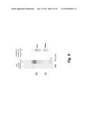 METHODS OF DIAGNOSING TAU-ASSOCIATED NEURODEGENERATIVE DISEASES diagram and image