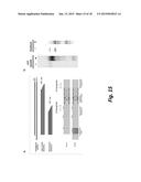 METHODS OF DIAGNOSING TAU-ASSOCIATED NEURODEGENERATIVE DISEASES diagram and image