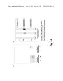 METHODS OF DIAGNOSING TAU-ASSOCIATED NEURODEGENERATIVE DISEASES diagram and image