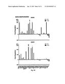 MICRORNA BIOMARKERS diagram and image