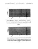 MICRORNA BIOMARKERS diagram and image