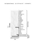 Methods and Compositions for the Treatment and Diagnosis of Pancreatic     Cancer diagram and image