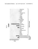 Methods and Compositions for the Treatment and Diagnosis of Pancreatic     Cancer diagram and image