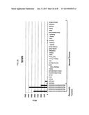 Methods and Compositions for the Treatment and Diagnosis of Pancreatic     Cancer diagram and image