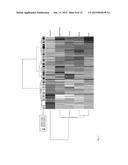 BIOMARKER SET FOR IDENTIFYING A SEVERE FORM OF CANCER diagram and image